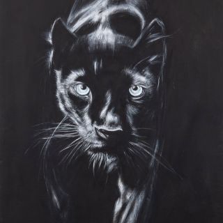 Power Animal | Panther